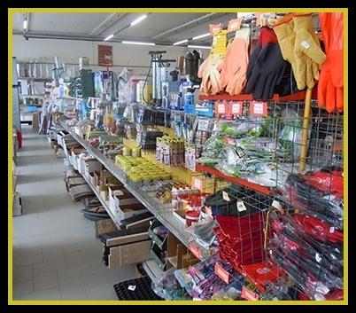 EDIL FERRAMENTA CANADA FOTO HP PGOL