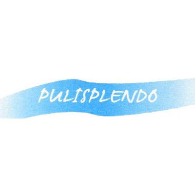 PULISPLENDO FOTO HP PGOL 400