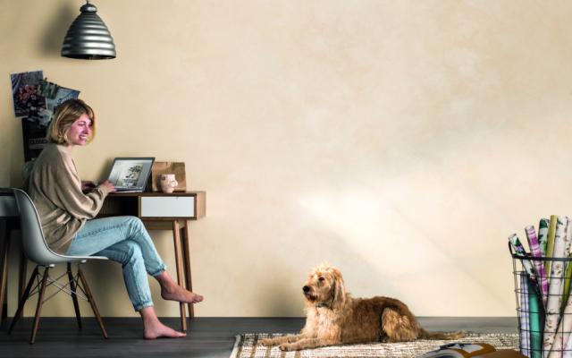 Ditta Focacci  foto pgol