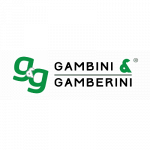 Gambini & Gamberini