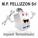 M.P. Pellizzon