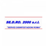 SE.D.RO. 2000