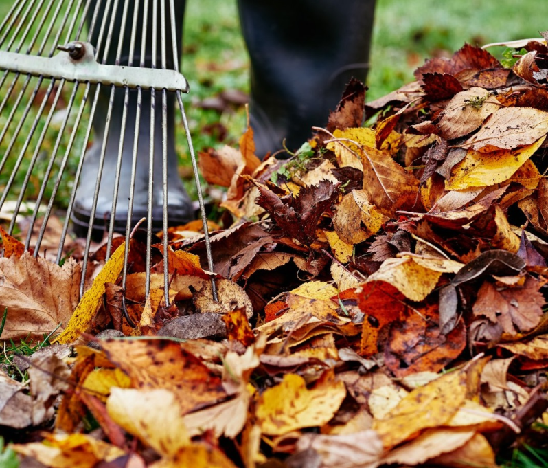 spazi verdi - Siviero Davide e C.