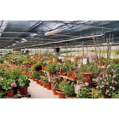 VIVAIO GLI OLEANDRI foto web 1