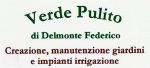 Verde Pulito di Delmonte Federico