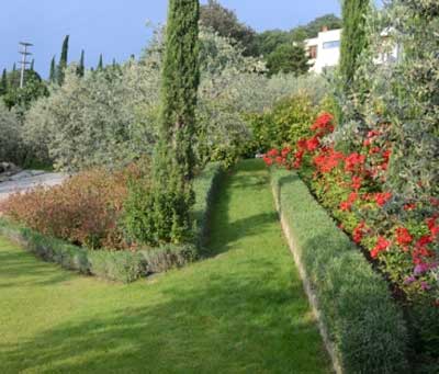 TANGANELLI PIETRO FOTO HP PGOL 400