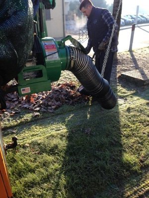 Manutenzione giardini - Siviero Davide e C.