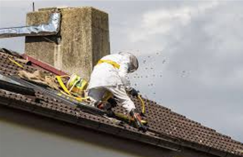 DISINFESTAZIONE VESPE