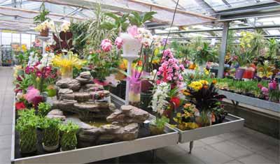 ORTOFLOR FOTO HP PGOL 400