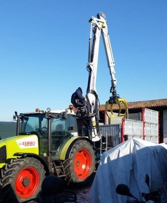 Asportazione ramaglie - Siviero Davide e C.