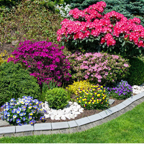 Potature Alberi Roma foto web 2