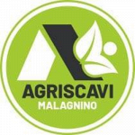 Agriscavi Malagnino Agriscavi Malagnino