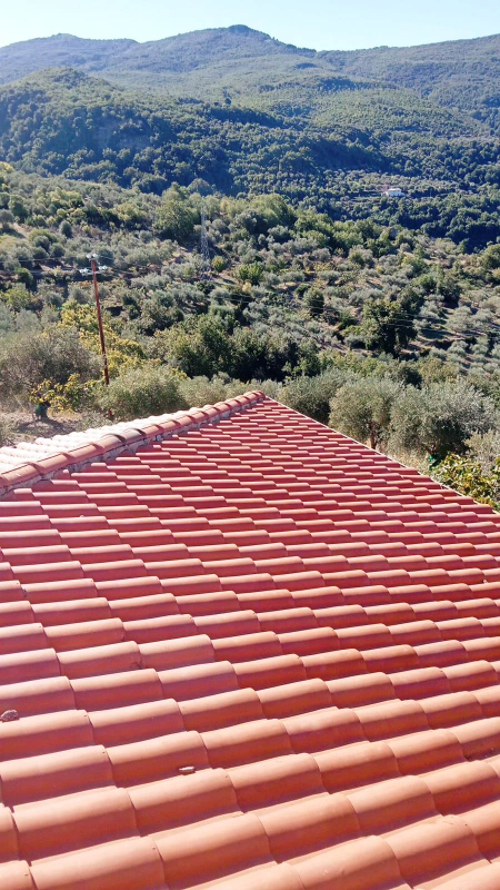EDIL ASFALTI SRL MANUTENZIONE TETTI IN TEGOLE