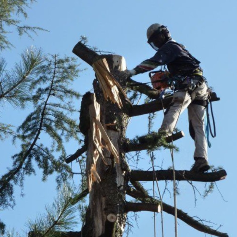 spazi verdi - Siviero Davide e C.