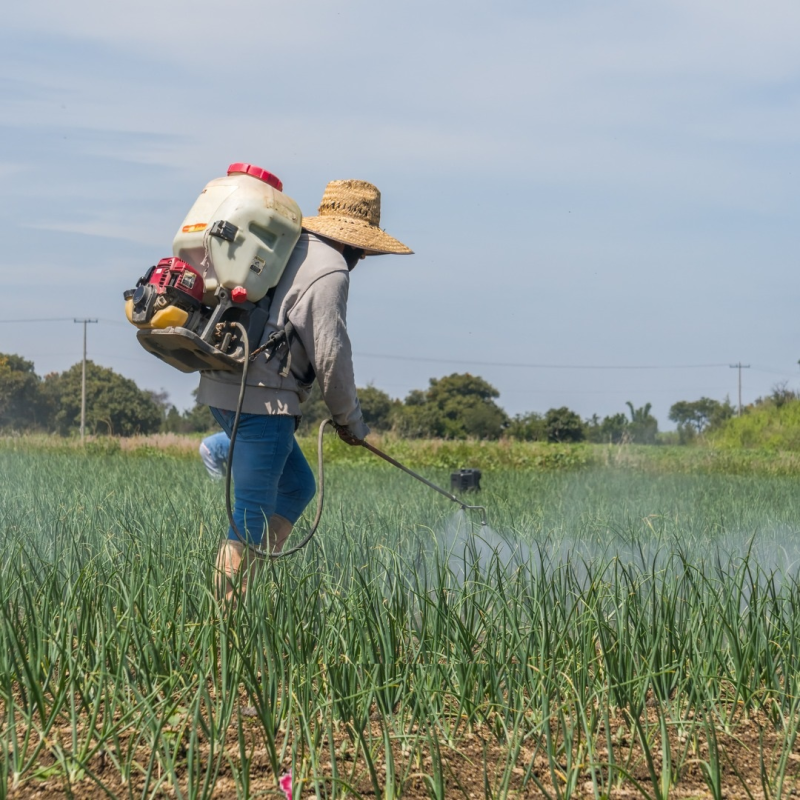 spazi verdi - Siviero Davide e C.