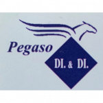 D&D Pegaso Moving Internazional Logistica S.r.l.s.