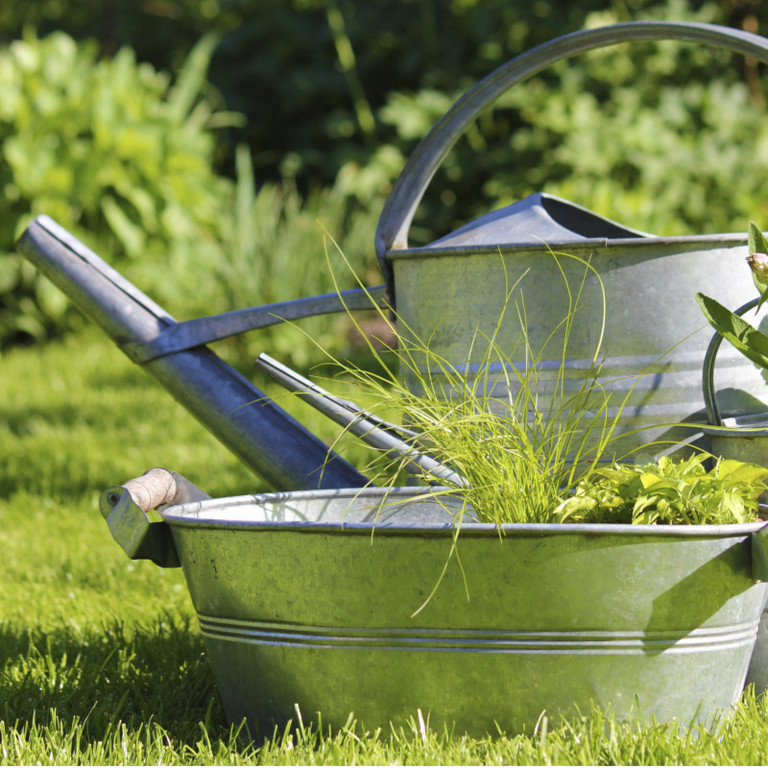 Potature Alberi Roma foto web 4