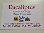 Eucaliptus Bombole Eni Gas Gpl