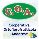Cooperativa Ortoflorofrutticola Andorese