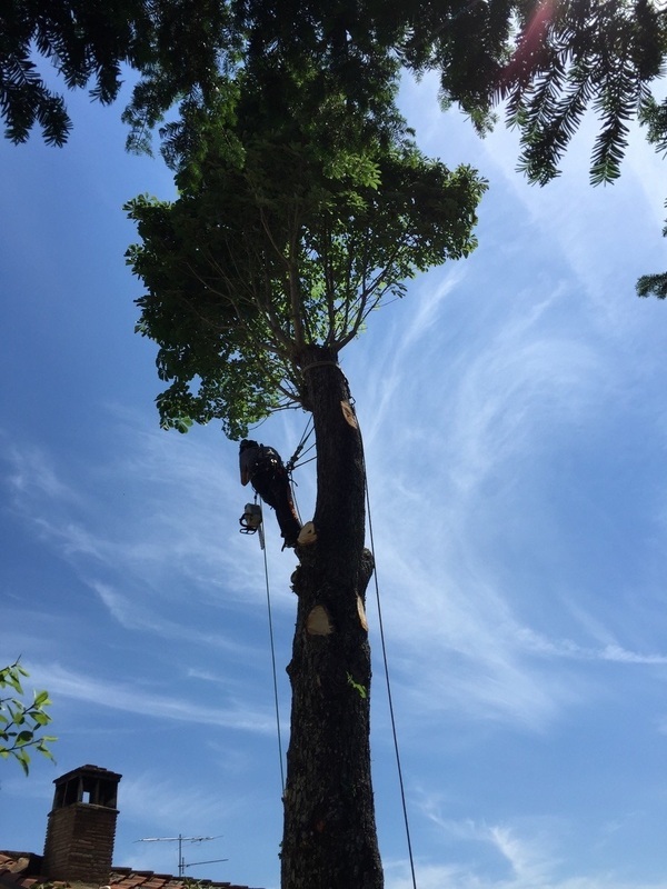 LUPI BERNARDO FOTO HP PGOL