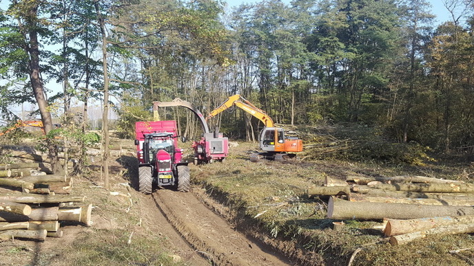 MASSAROTTO LUIGI foto pgol