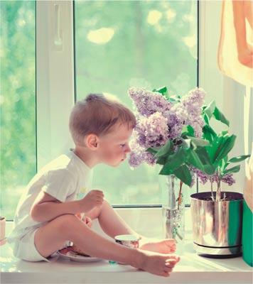 INFALL 1961 FOTO HP PGOL