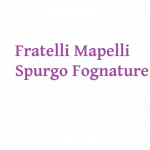 Fratelli Mapelli Spurgo Fognature E Pozzi Neri